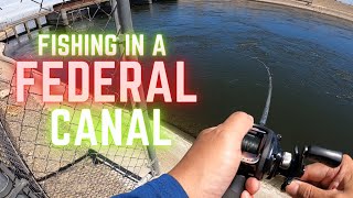 Delta Mendota Canal Striper Fishing