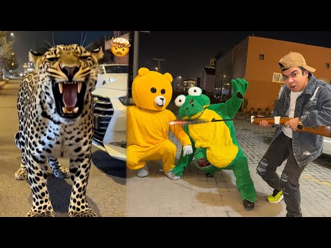 Leopard Ka Dost Bear Ko Goli Mar Di 🤯