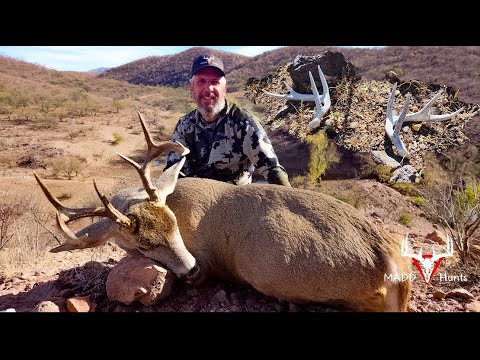 Shed Hunting your target buck! Shed Hunting your target buck!