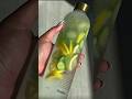 Start Drinking Lemon Cucumber Water Every Morning Health Shorts Lemon Cucumber Healthtips