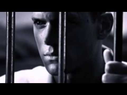 Sa Nu Ma Uiti    Versuri  Ines Vanda Popa