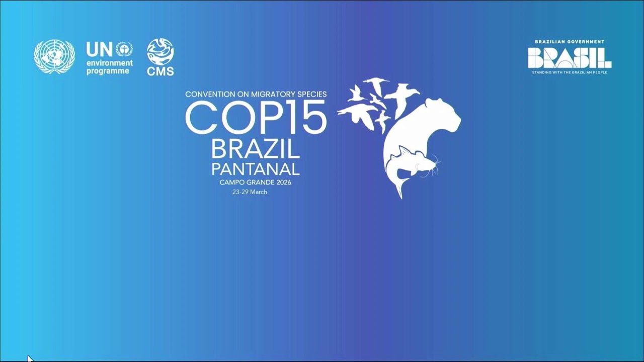 CMS COP15 Special Event: The Role of Law and Judges [EN] / 24 March