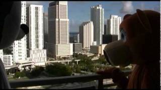 "Feel Like Funkin' It Up" by Rebirth Brass Band (for whom Rebirth Raccoon is named)