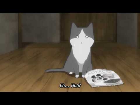 Where's The Food? - My Roommate is a Cat