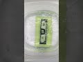 Winning FIFTY DOLLARS From This Soap Money Soap Unboxing