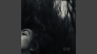 Anna Mieke - Warped Window