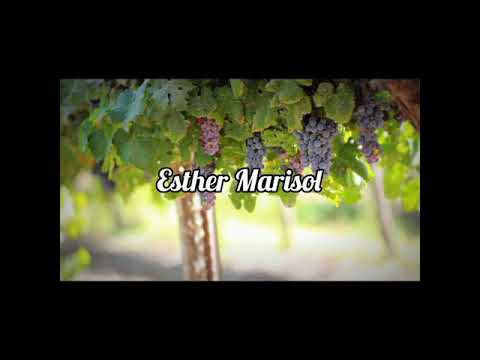 Esther Marisol - La Flor de Sama 🌼letra🌼