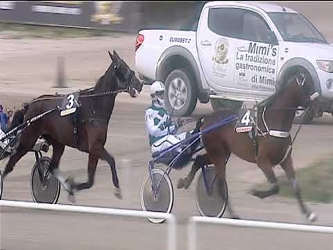 Trotto 10/02/2019 - 2ª corsa