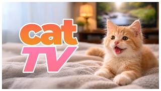 6 Hour Cat TV 🐱 Birds in the Wild & Underwater Fish for Cats
