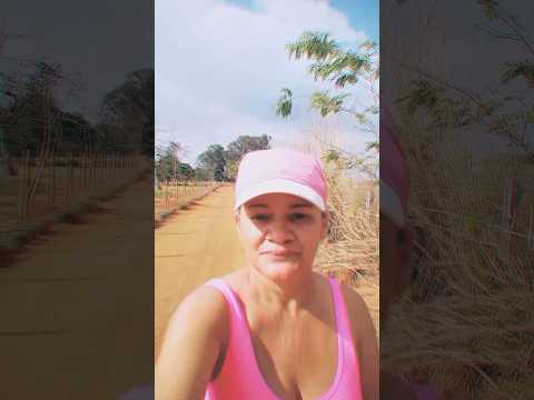 Caminhada sertaneja Comunidade Santa Rita município Vianópolis Goiás Brasil