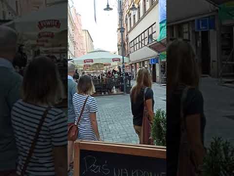 Policjanci na koniach pacyfikują Sebixa – Katowice