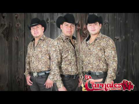 Los Carnales de Nuevo León - Gordito pero sabroso (Video Lyric)