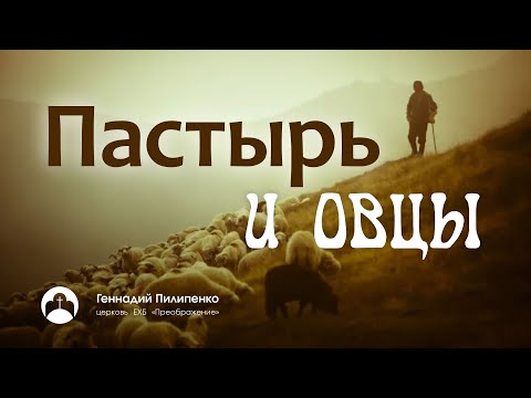 Геннадий Пилипенко: "Пастырь и овцы"