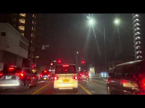 30 Minutes Driving in Japan Aichi Ken Prefecture / #rides #automobile  #driving  