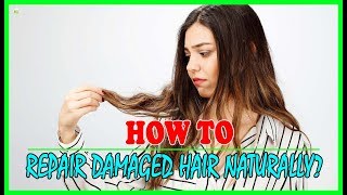 How To Repair Damaged Hair Fast And Naturally? | Best Home Remedies