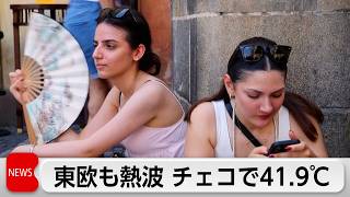 ヨーロッパで記録的な熱波　死者1300人以上増加　チェコは41.9℃