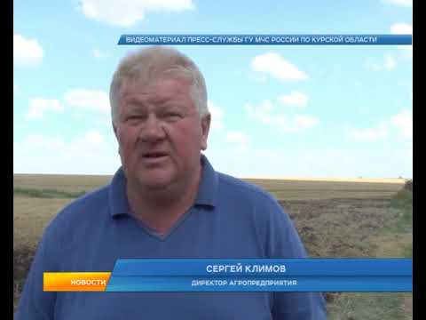 Курская область может потерять часть урожая