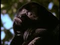 Greenhouse Music Video