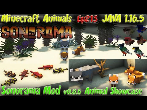 Smithy MC - Sonorama Mod v0.8.6 Animal Showcase Desert Animals JAVA 1.16.5 Minecraft Animals Ep213