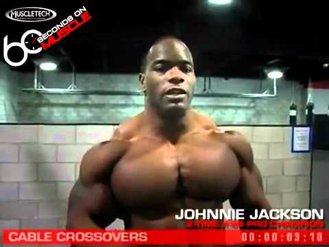 The biggest chest in the world