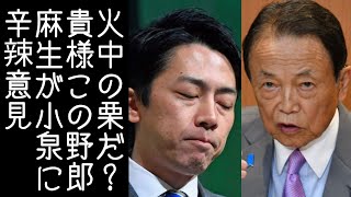 【自民党総裁選｜高市早苗】小泉進次郎が総裁選出馬を「火中の栗を拾う」と表現したことについて麻生太郎が辛辣ともとれる言葉をかける【改憲君主党チャンネル】