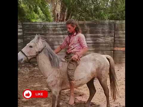 Amanse do Átila - Doma Índia com Guto Petry Parte 2