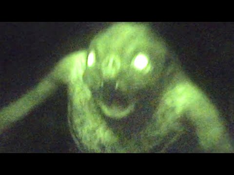 Por que Mariposas Assustam?