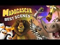 Madagascar Best Scenes