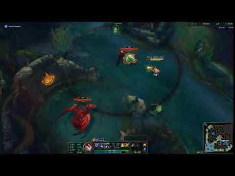 Kindred wolf bug
