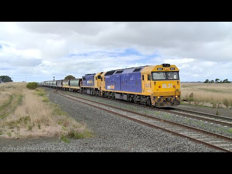 7731V BL31 & X48 Lead Pacific National Grain Train  (5/5/2021) - PoathTV Australian Railways