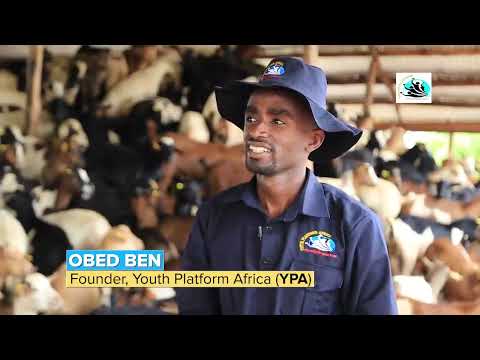 The Mighty YPA Goats Investment Project.