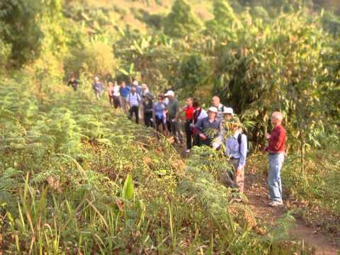 ศูนย์พัฒนาเกษตรพื้นที่สูงม่อนล้าน