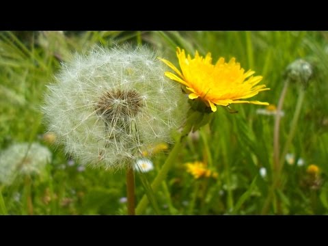 I bambini fasciatura sul ginocchio giunto flessibile Da ciò che male le ossa e della colonna vertebrale lombare