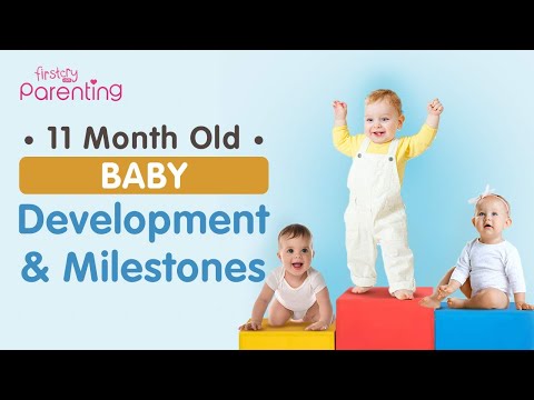 11 Month Old Baby : Development and Milestones
