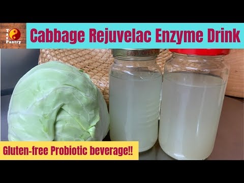 download lagu mp3 mp4 Fermented Cabbage Juice, download lagu Fermented Cabbage Juice gratis, unduh video klip Fermented Cabbage Juice
