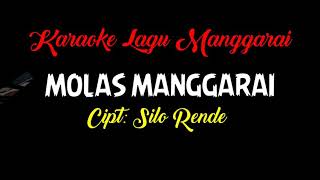 Download lagu Karaoke Lagu Manggarai Molas Manggarai Cipt Silo R... mp3