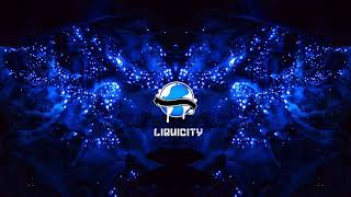 Camo &amp; Krooked - Last of The Tribe (Break Remix)