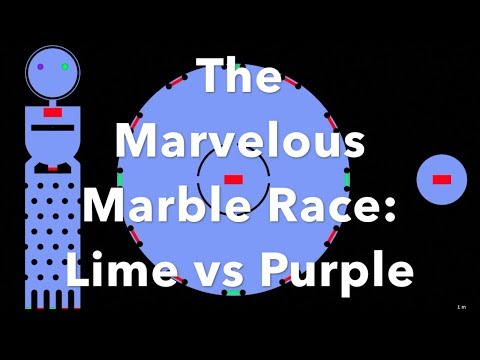 The Marvelous Marble Race: Lime vs Purple