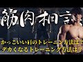 [聞き流し専用]正直に言います！NG無し質問コーナー筋肉相談