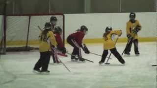preview picture of video 'U10 Moncton Disco Rings - VS Riverview Red Devils'