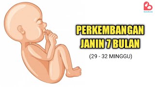 Download lagu Perkembangan Janin yang Ideal Usia 7 Bulan, Bersiap Masuk Jalan Lahir? mp3