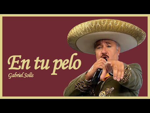 EN TU PELO / JAVIER SOLÍS | INTERPRETADA POR SU HIJO GABRIEL SOLÍS