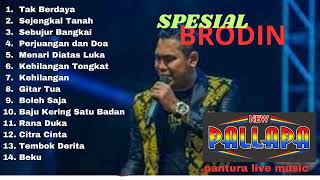 Download lagu BRODIN 2023 FULL ALBUM HITS_NEW PALLAPA (NO IKLAN) mp3