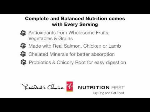 download lagu mp3 mp4 Presidents Choice Dog Food Review, download lagu Presidents Choice Dog Food Review gratis, unduh video klip Presidents Choice Dog Food Review