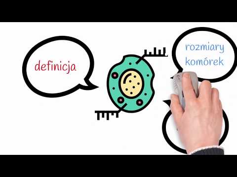 Komórka -  wstęp, podział i przyczyny niewielkich rozmiarów komórek