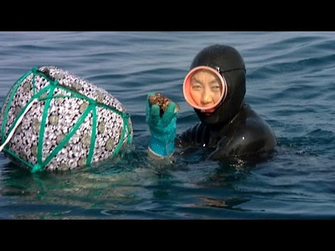 Schulfilm: 360° - die GEO-Reportage - Die letzten Nixen (Schulfilm-Vorschau)