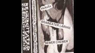 Sewer Chewer - You Are What You Shit (prt.2)