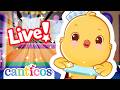 LIVE Little Sailor The Senses More Canticos Nursery Rhymes Kids Songs