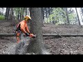 Řetězové pily Stihl MS 462