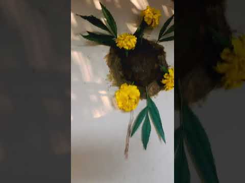 #keepsupporting #keeploving #subscribemychannel